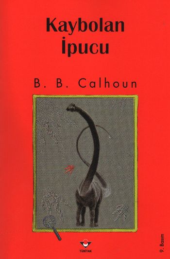Kaybolan İpucu %17 indirimli B.B. Calhoun