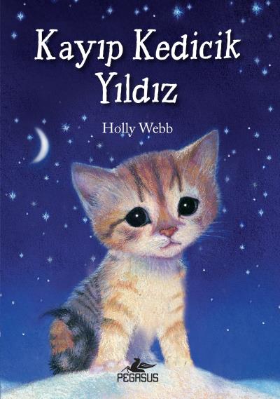 Kayıp Kedicik Yıldız Holly Webb