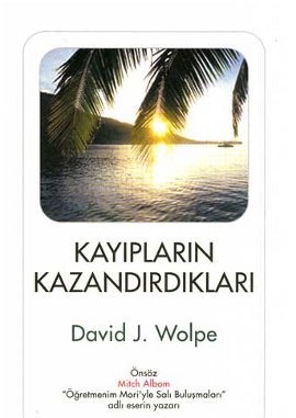 Kayıpların Kazandırdıkları %17 indirimli David J. Wolpe