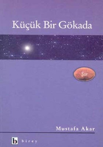 Küçük Bir Gökada