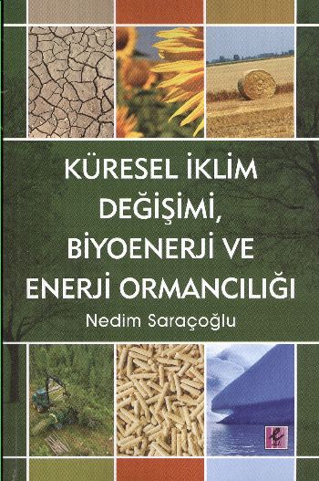 Küresel İklim Değişimi, Biyoenerji ve Enerji Ormancılığı