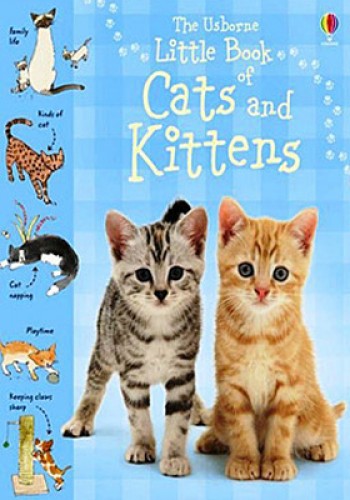 Little Book of Cats and Kittens