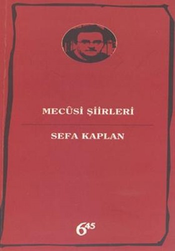 Mecusi Şiirleri