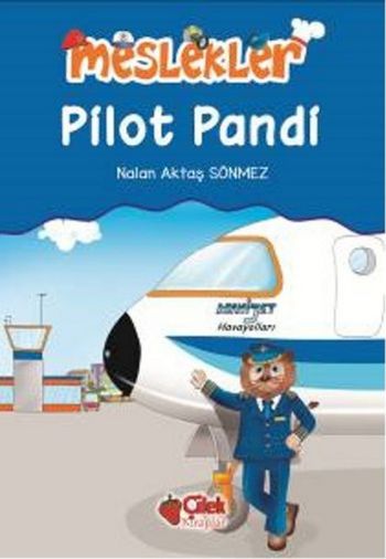Meslekler - Pilot Pandi