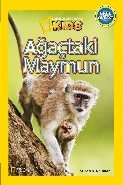National Geographic Kids Ağaçtaki Maymun