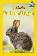 National Geographic Kids Zıplayan Tavşan