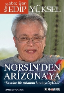 Norşinden Arizonaya