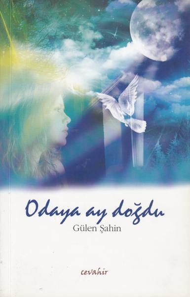 Odaya Ay Doğdu Gülen Şahin