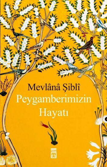 Peygamberimizin Hayatı Mevlana