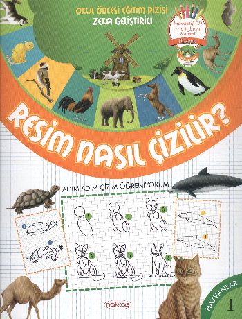 Resim Nasıl Çizilir Dvdli %17 indirimli Kollektif