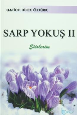 Sarp Yokuş 2