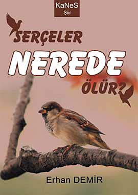 Serçeler Nerede Ölür