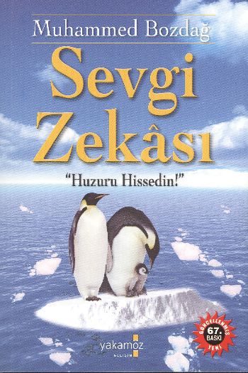 Sevgi Zekası