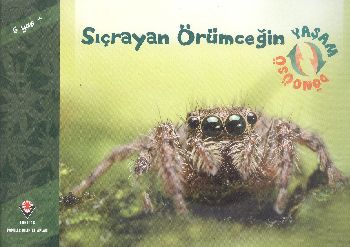 Sıçrayan Örümceğin Yaşam Döngüsü %17 indirimli David M.Schwartz