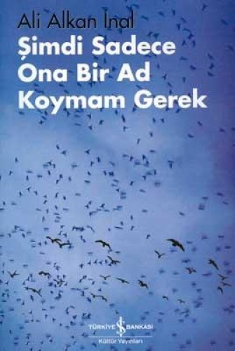 Şimdi Sadece Ona Bir Ad Koymam Gerek