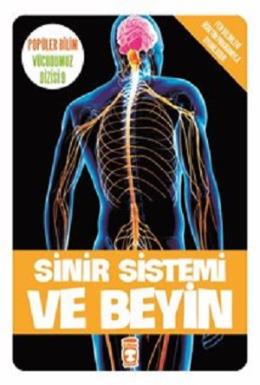 Sinir Sistemi ve Beyin