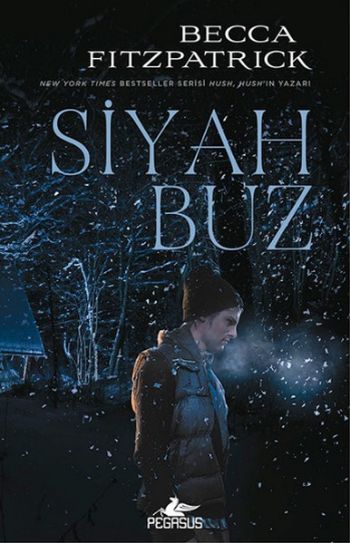 Siyah Buz Ciltli %25 indirimli Becca Fitzpatrick