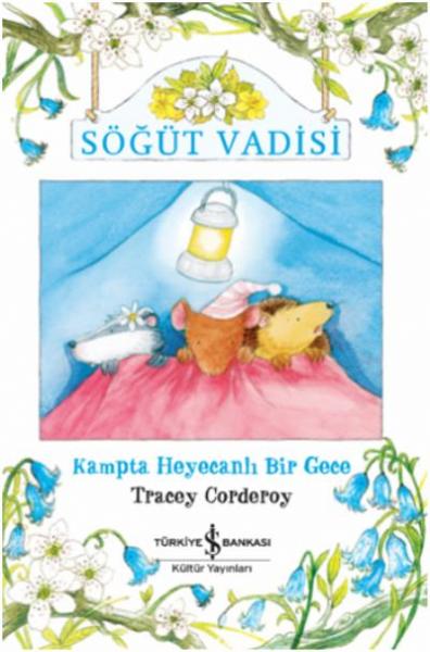 Söğüt Vadisi-Kampta Heyecanlı Bir Gece