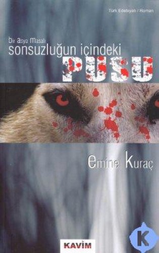 Sonsuzluğun İçindeki Pusu Emine Kuraç