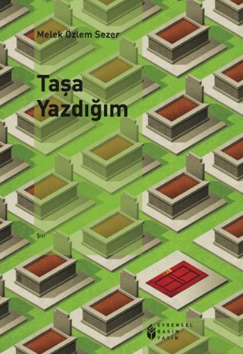 Taşa Yazdığım