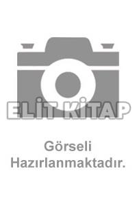 TAŞIMA TEKNİĞİ PROBLEMLERİ Erol Feyzullahoğlu