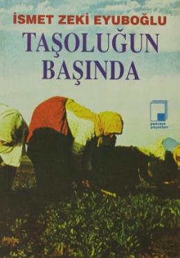 Taşoluğun Başında