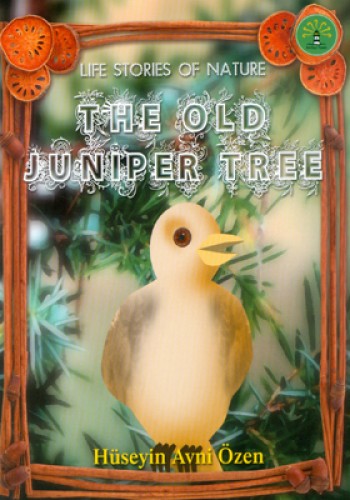 The Old Juniper Tree