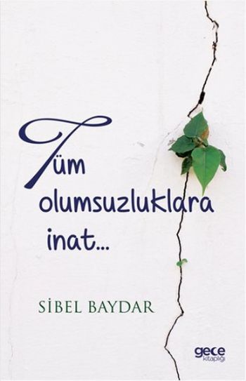 Tüm Olumsuzluklara İnat Sibel Baydar