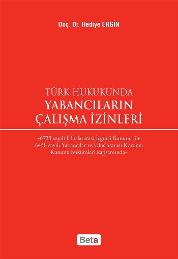 Türk Hukukunda Yabancıların Çalışma İzinleri