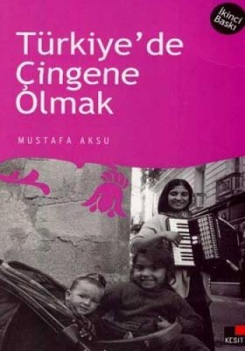Türkiyede Çingene Olmak %17 indirimli Mustafa Aksu