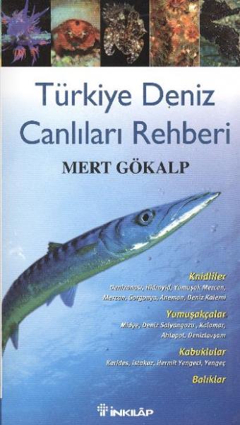 Türkiye Deniz Canlıları Rehberi