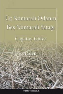 Üç Numaralı Odanın Beş Numaralı Yatağı