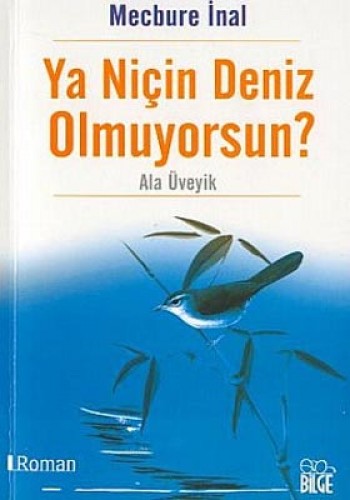 Ya Niçin Deniz Olmuyorsun