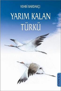 Yarım Kalan Türkü